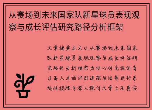 从赛场到未来国家队新星球员表现观察与成长评估研究路径分析框架